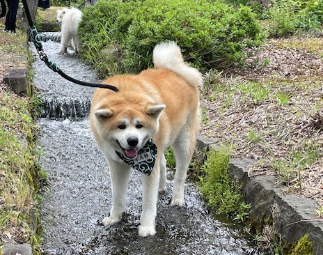 patororu3.jpg